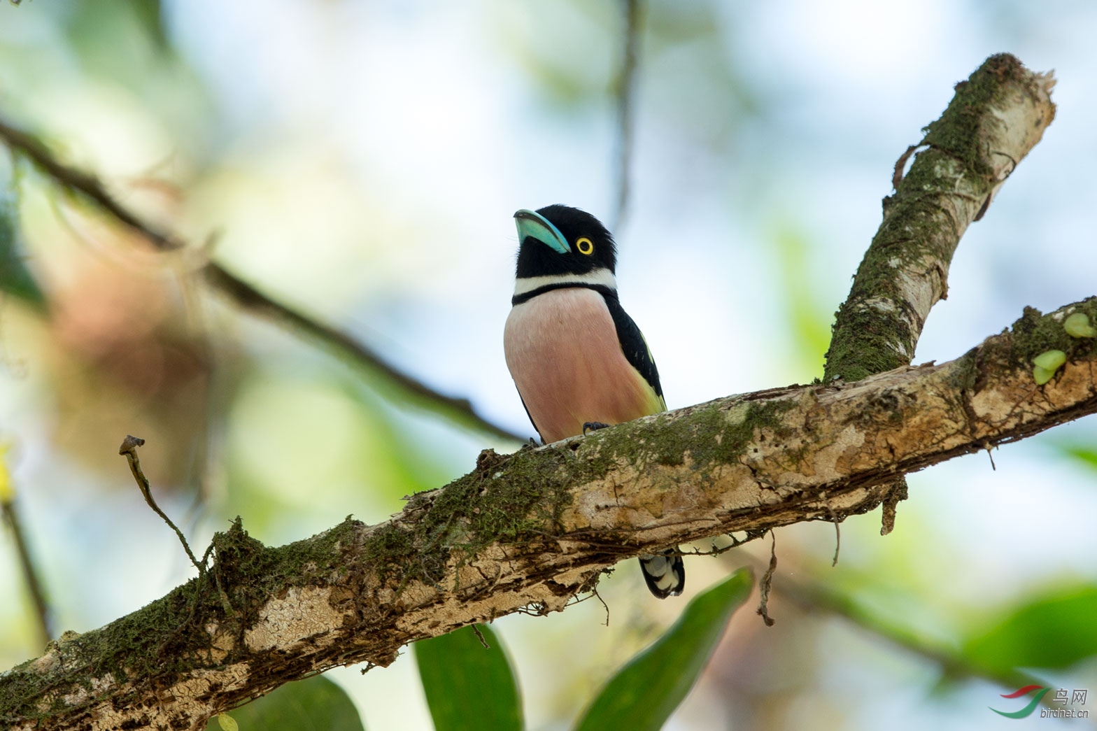 �ڻ������� 2.jpg