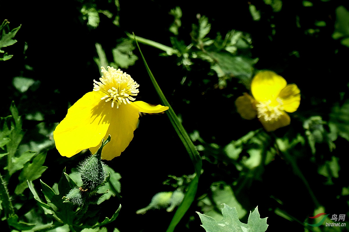 P4082572.jpg