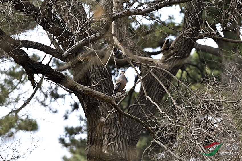 _DSC6306_00001_����.jpg