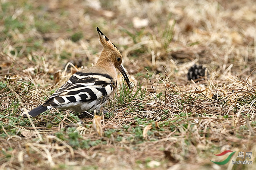 _DSC6229_00001_����.jpg