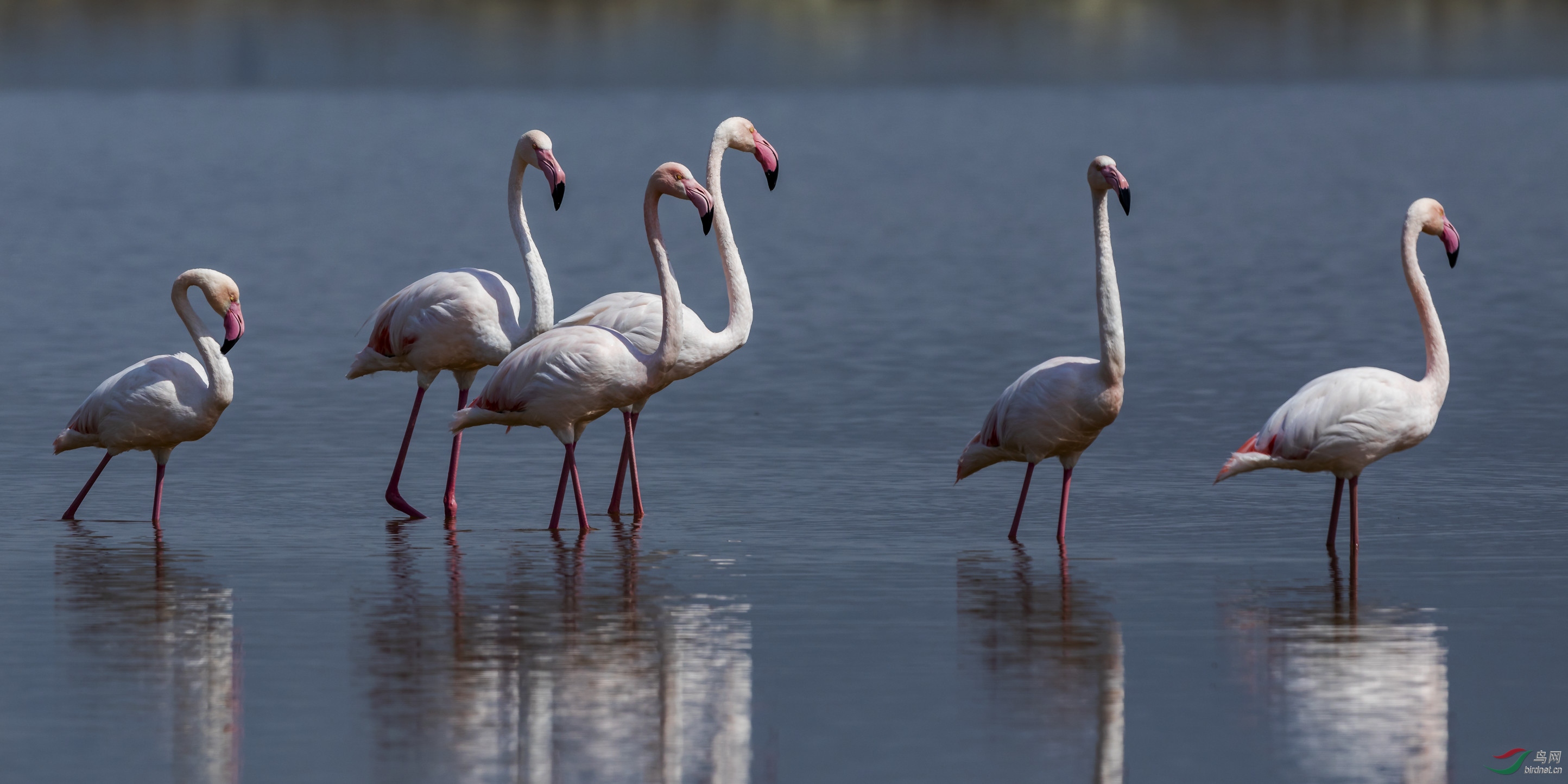 �γ�һ����