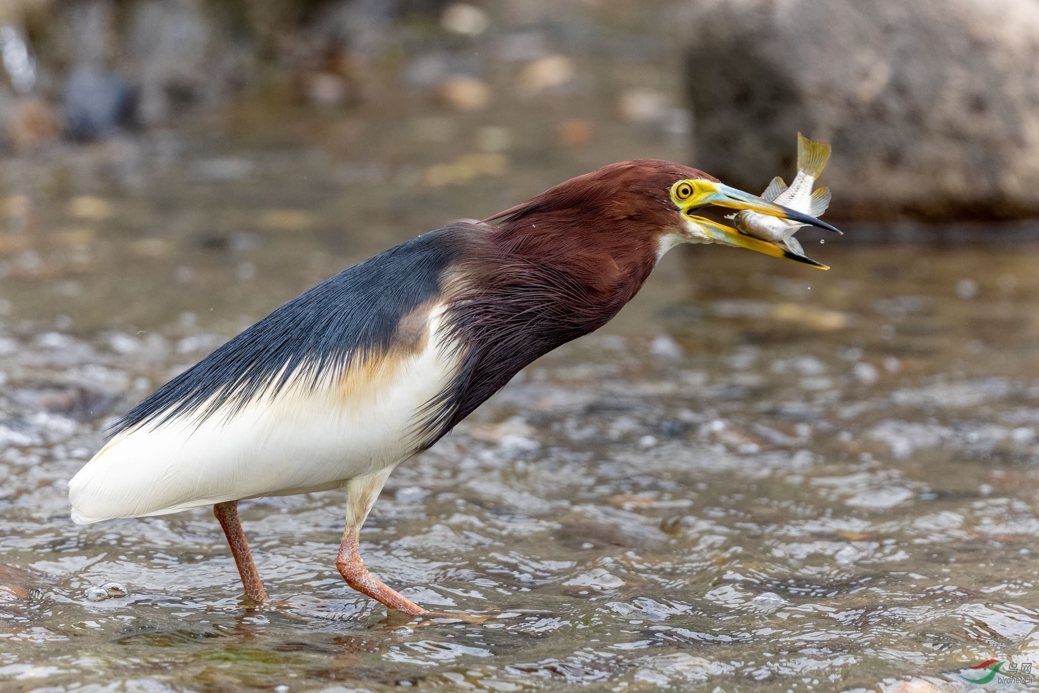 IMG_5982_DxO.jpg