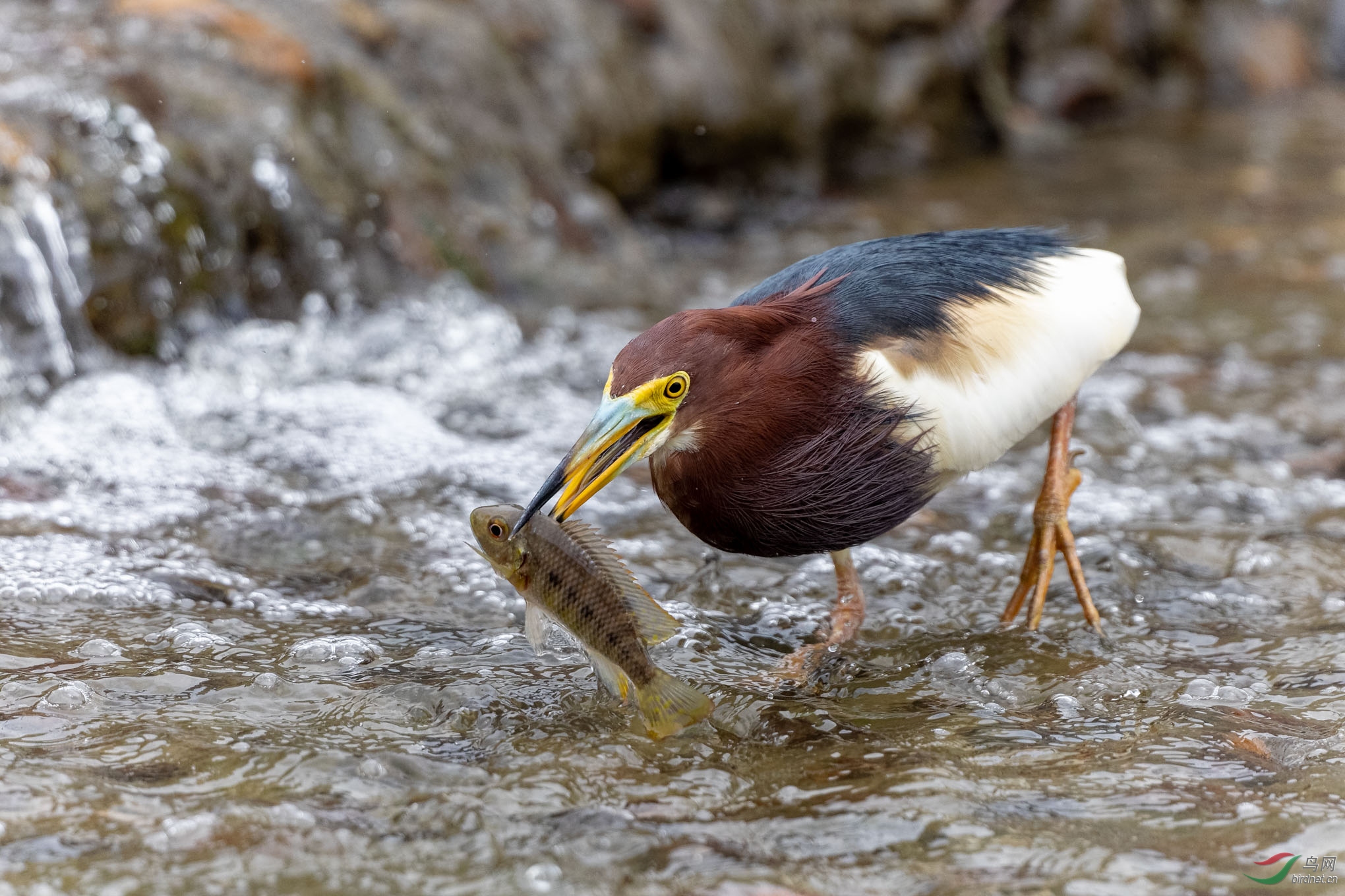 IMG_5931_DxO.jpg