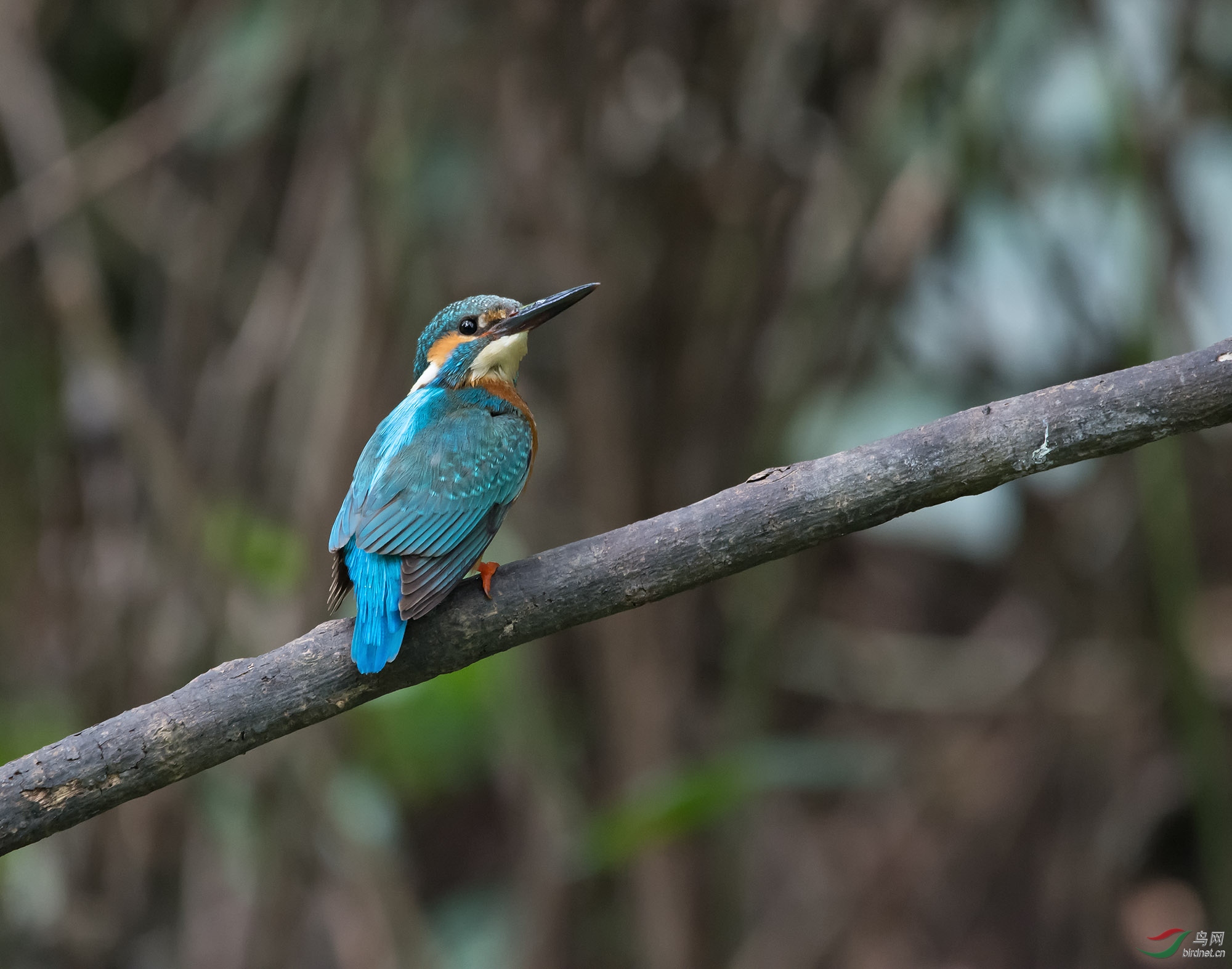 DSC_0998.jpg