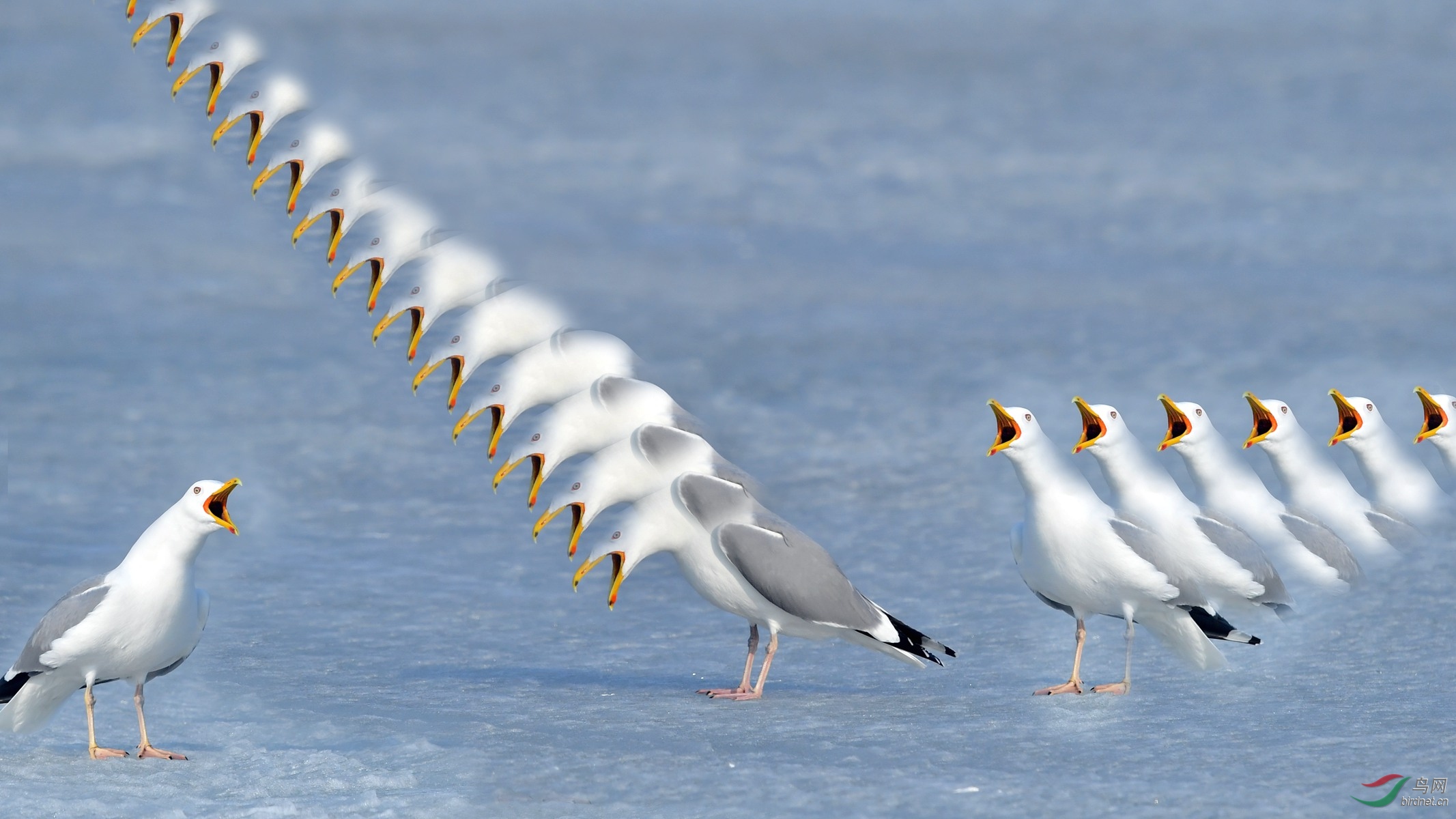 IYK_6123 ���� 2_����.jpg