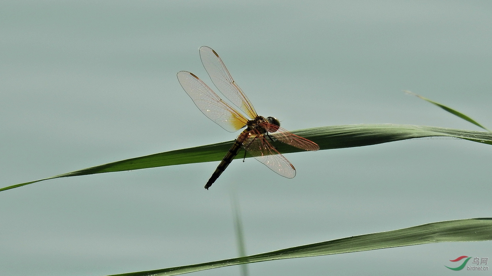 DSCN2817.JPG