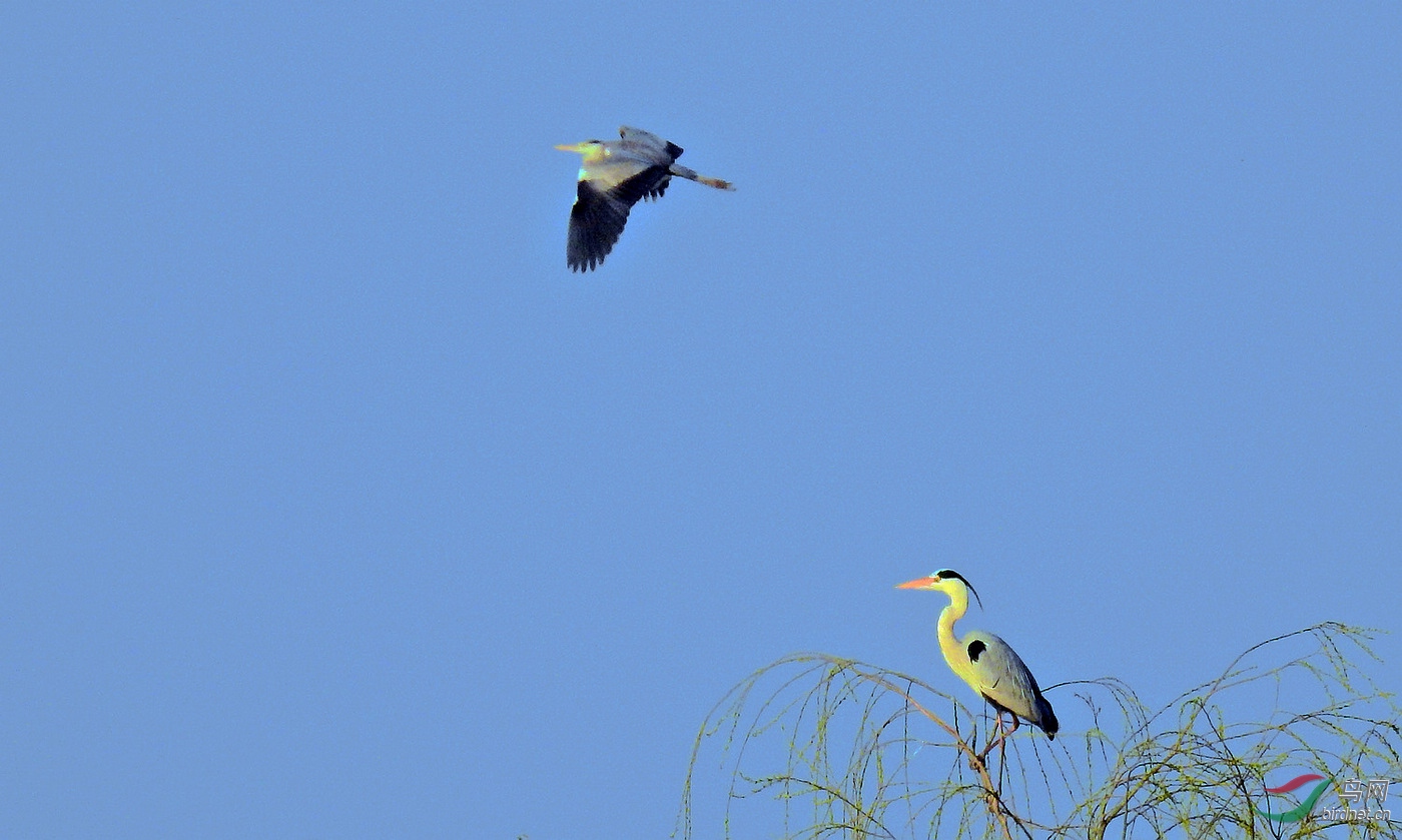 DSCN4964.JPG