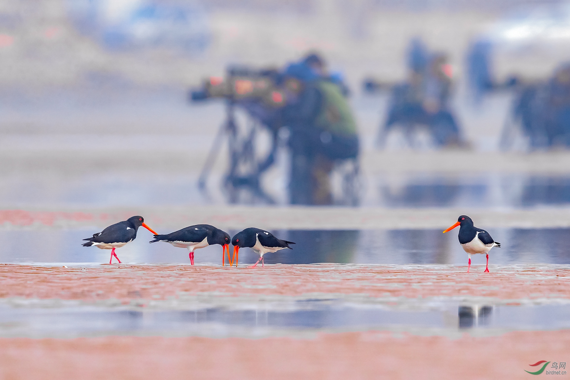 海滩上