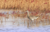 1 (125).JPG