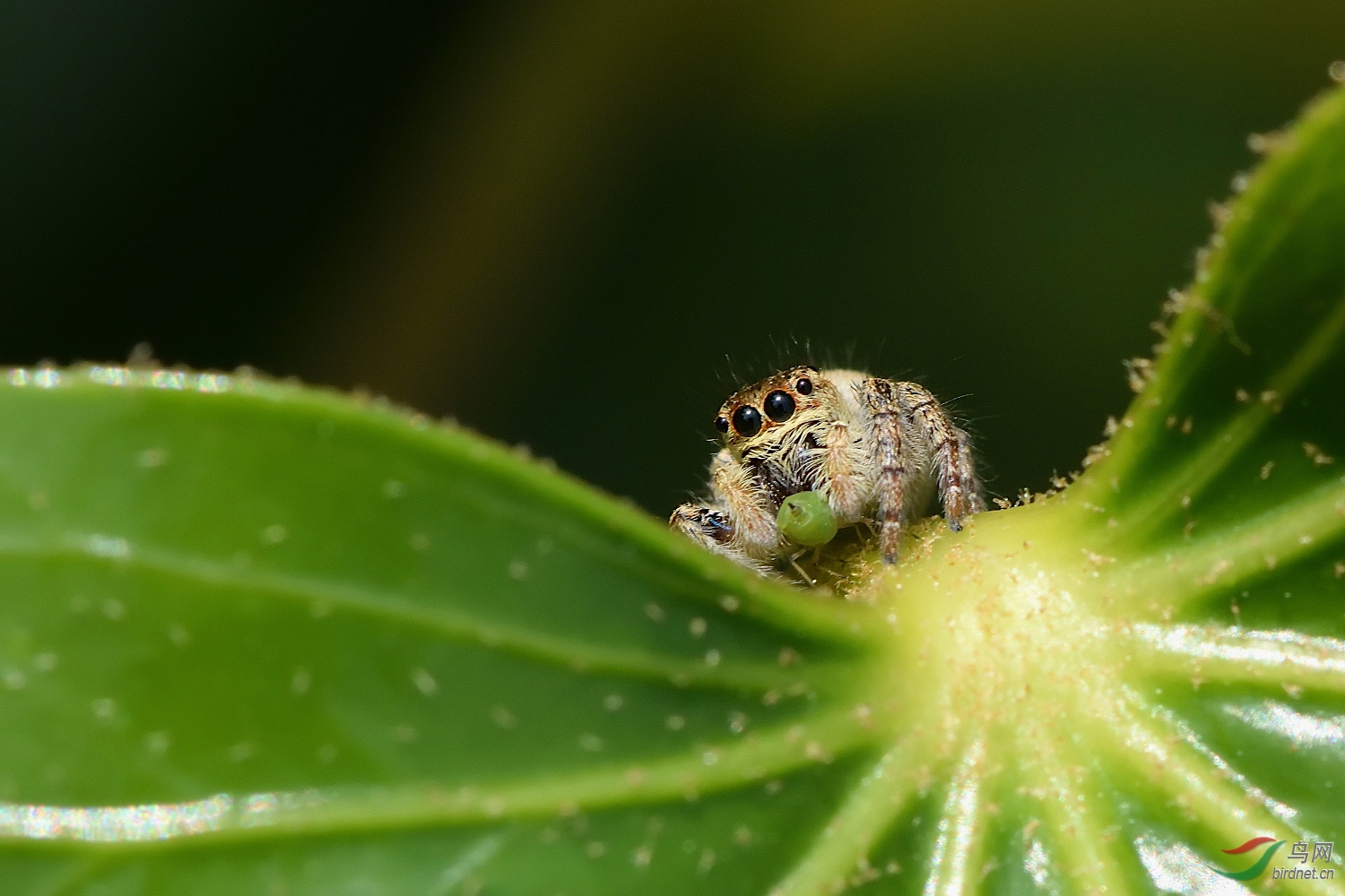 DSC_2288_00006.jpg