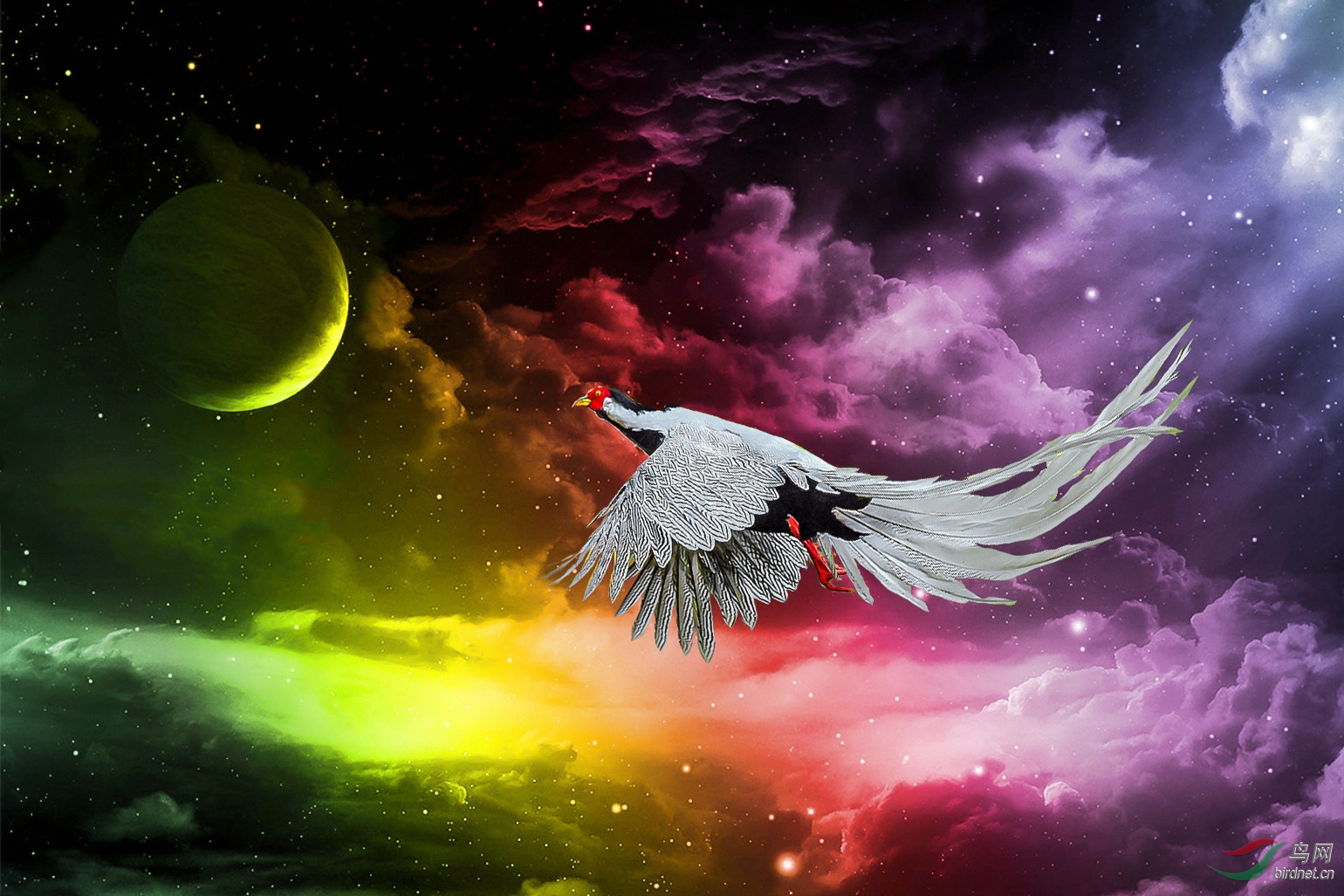 DSC_1699_���� (10)_����_����_����_����.jpg