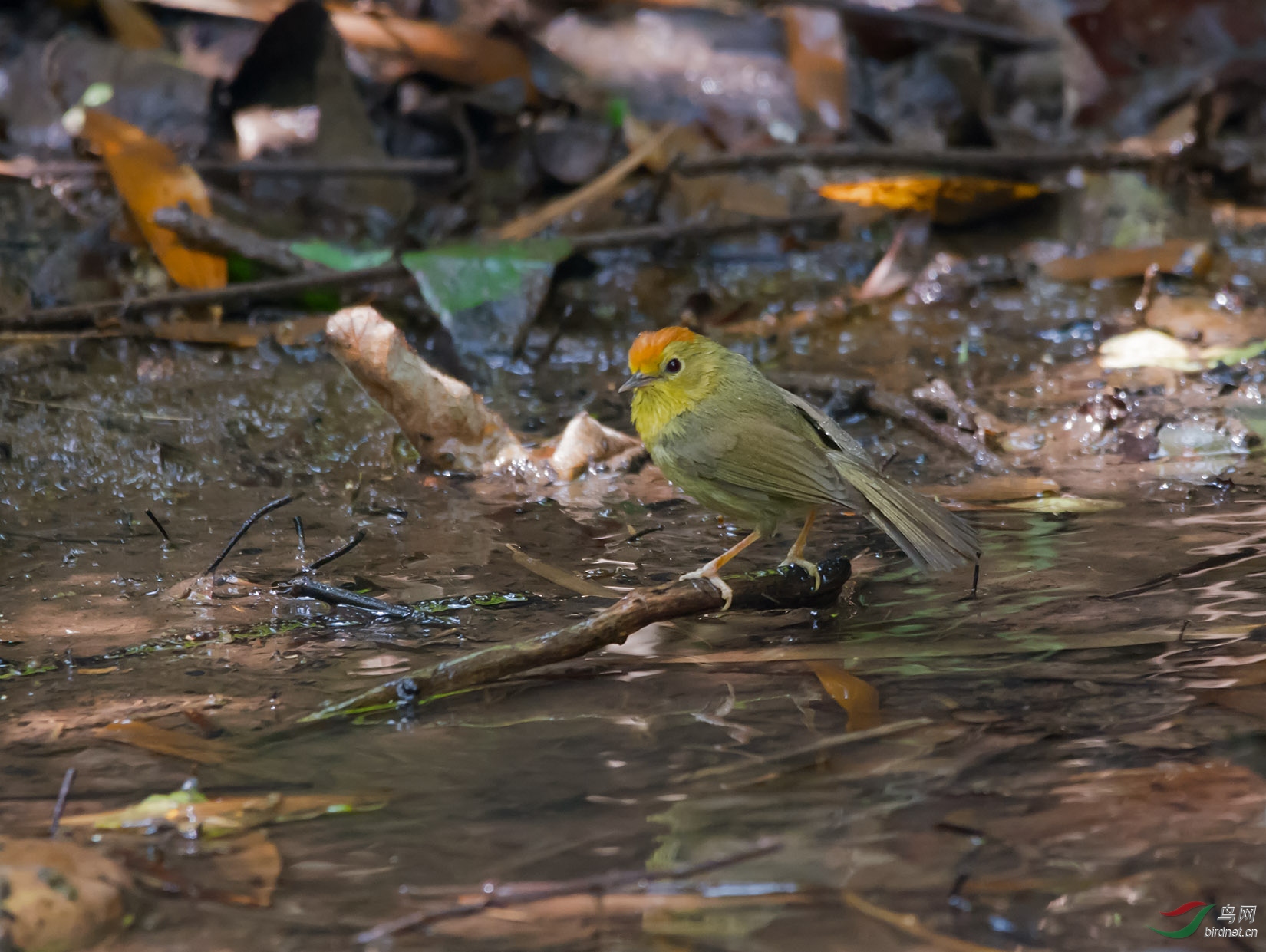 DSC_1075.jpg