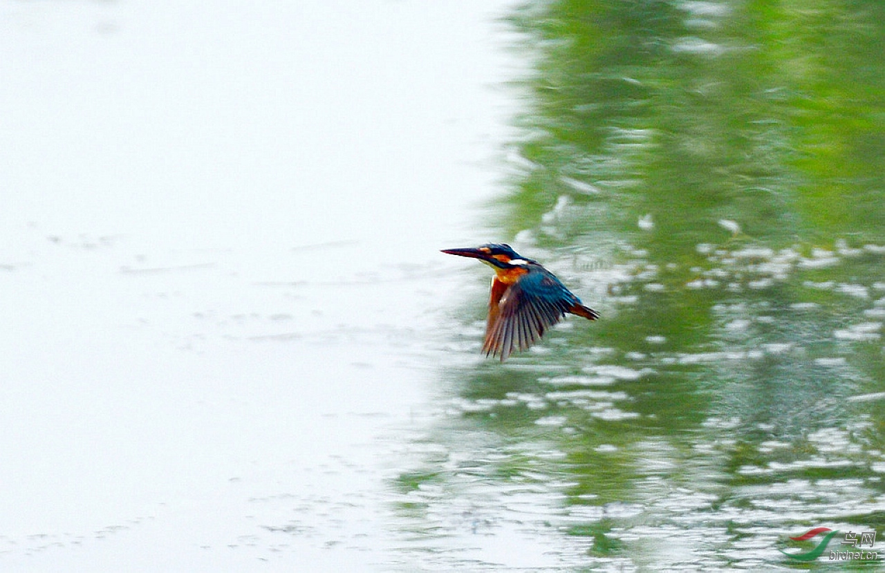 DSC_5847.JPG