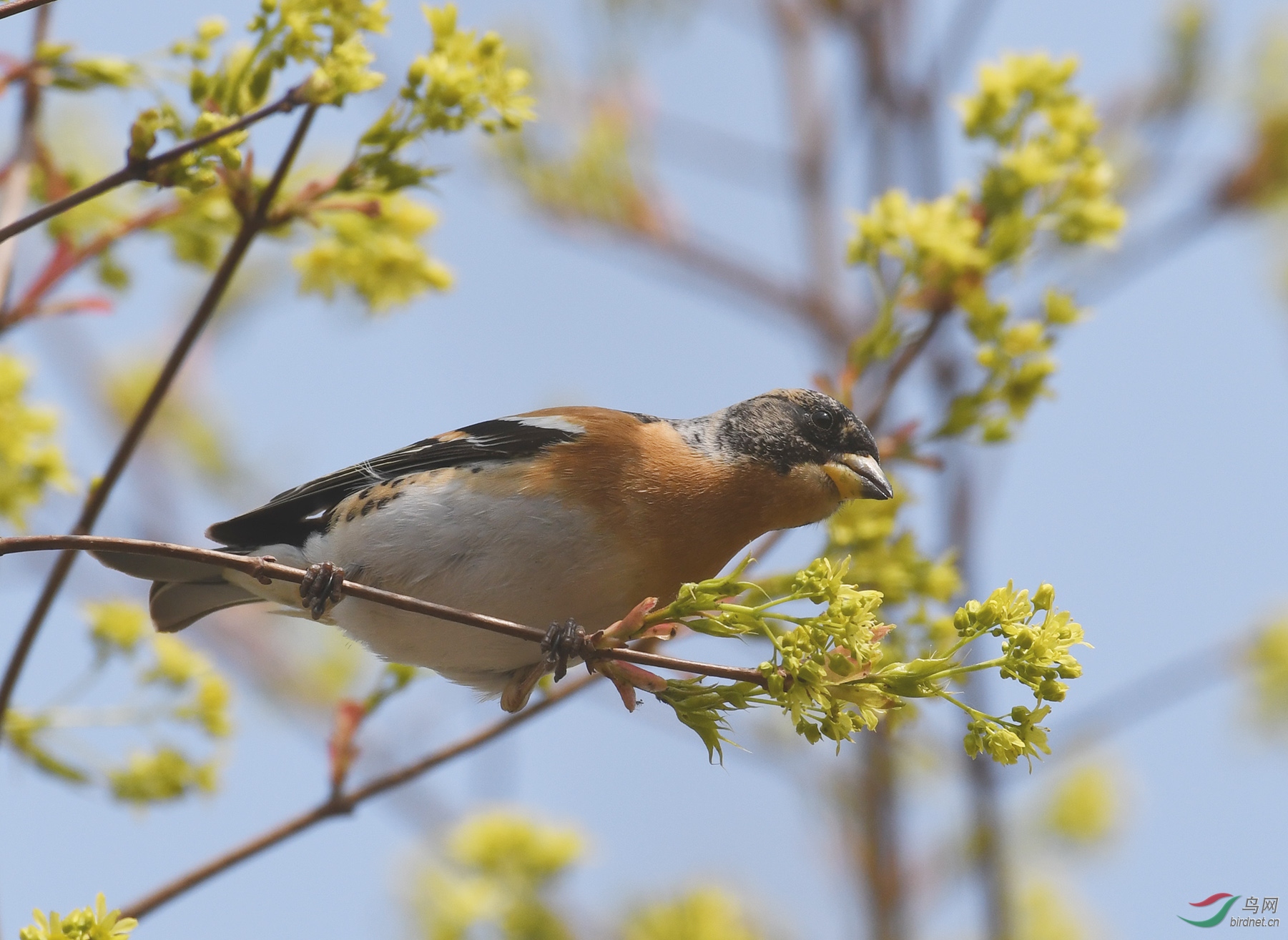 ������Ӱ 731����.jpg