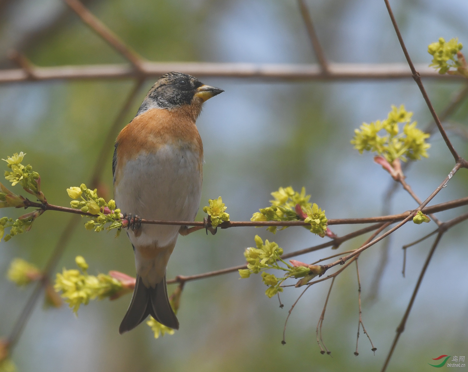 ������Ӱ 815����.jpg