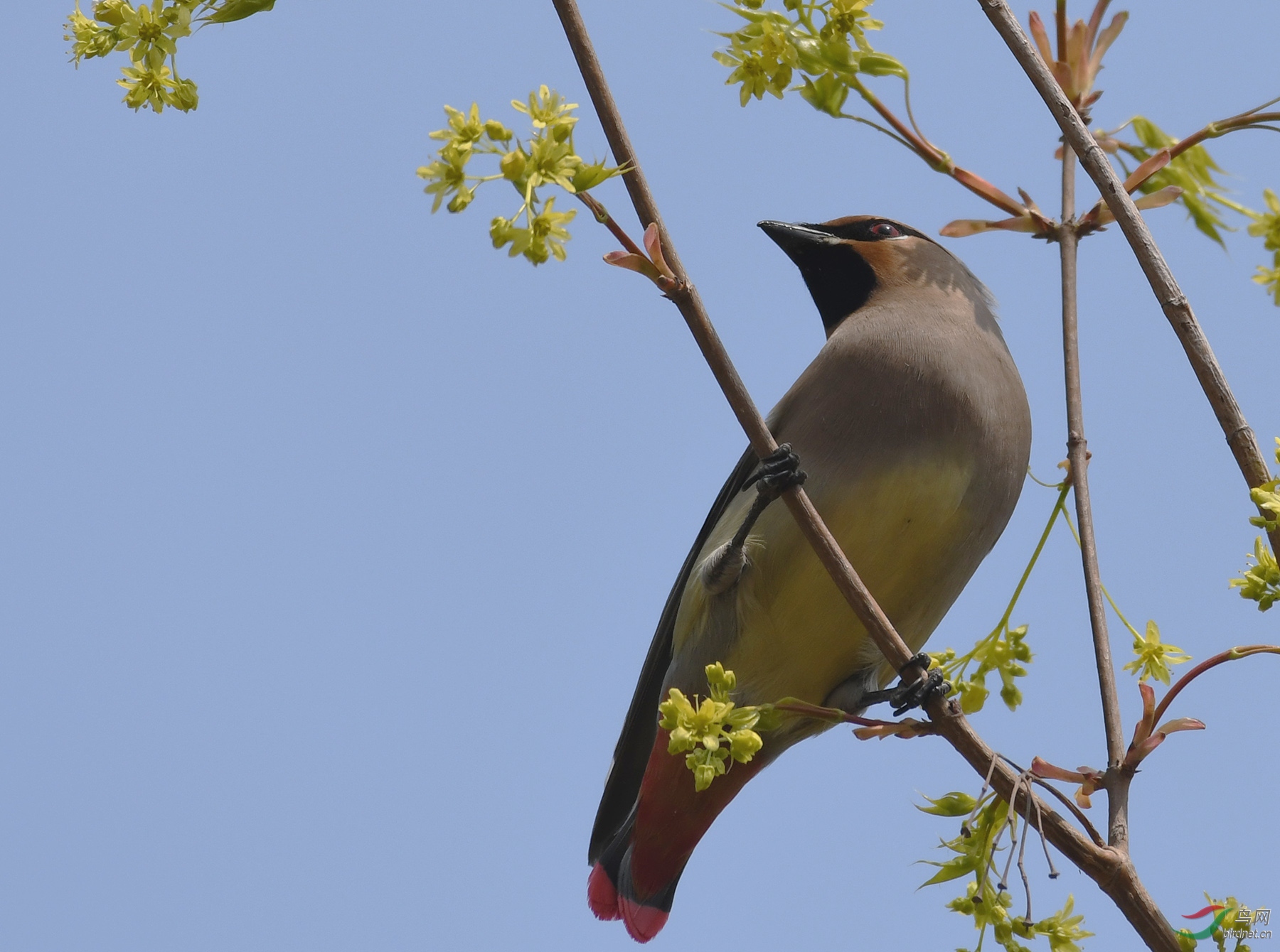 ������Ӱ 945����.jpg