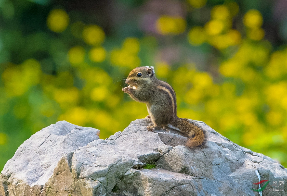 DSC_5344.jpg