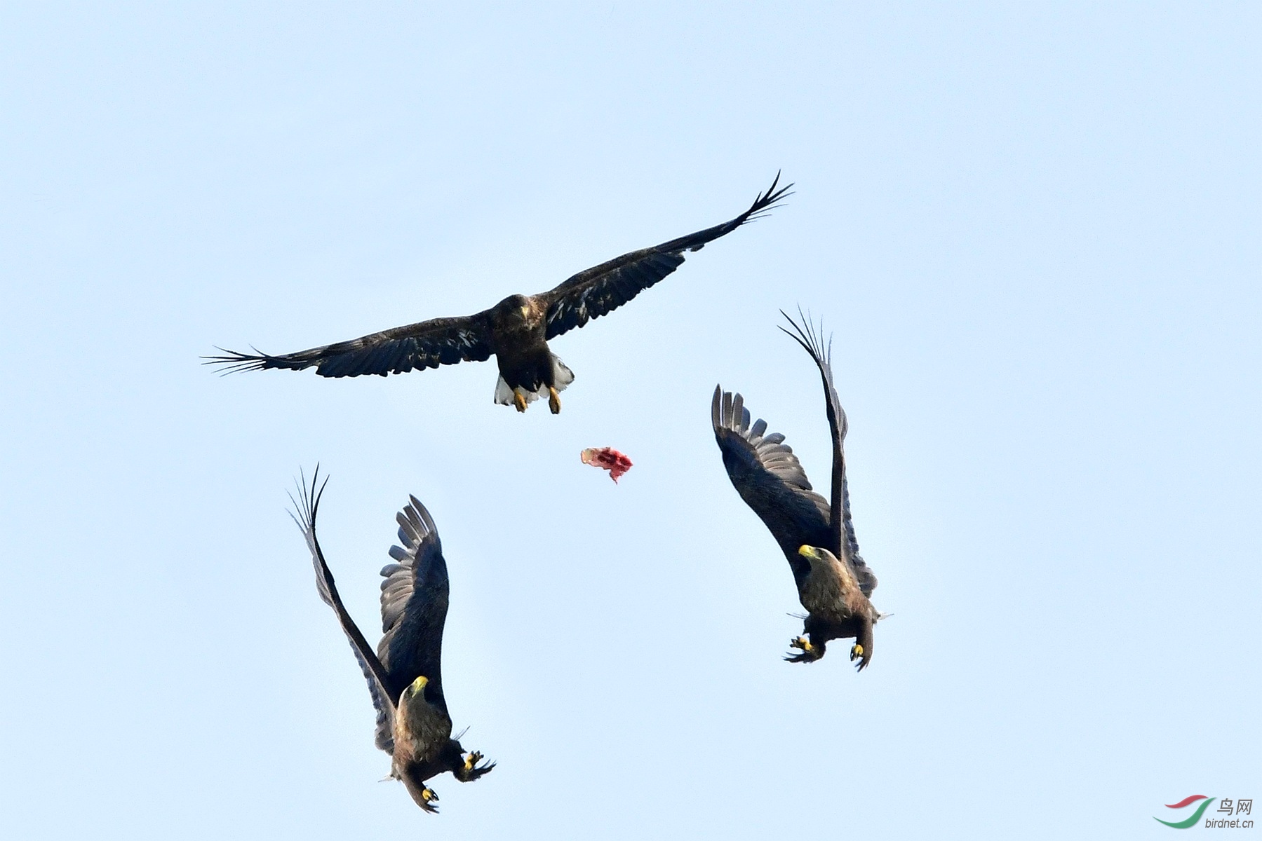 IYK_5071_�� _����.jpg