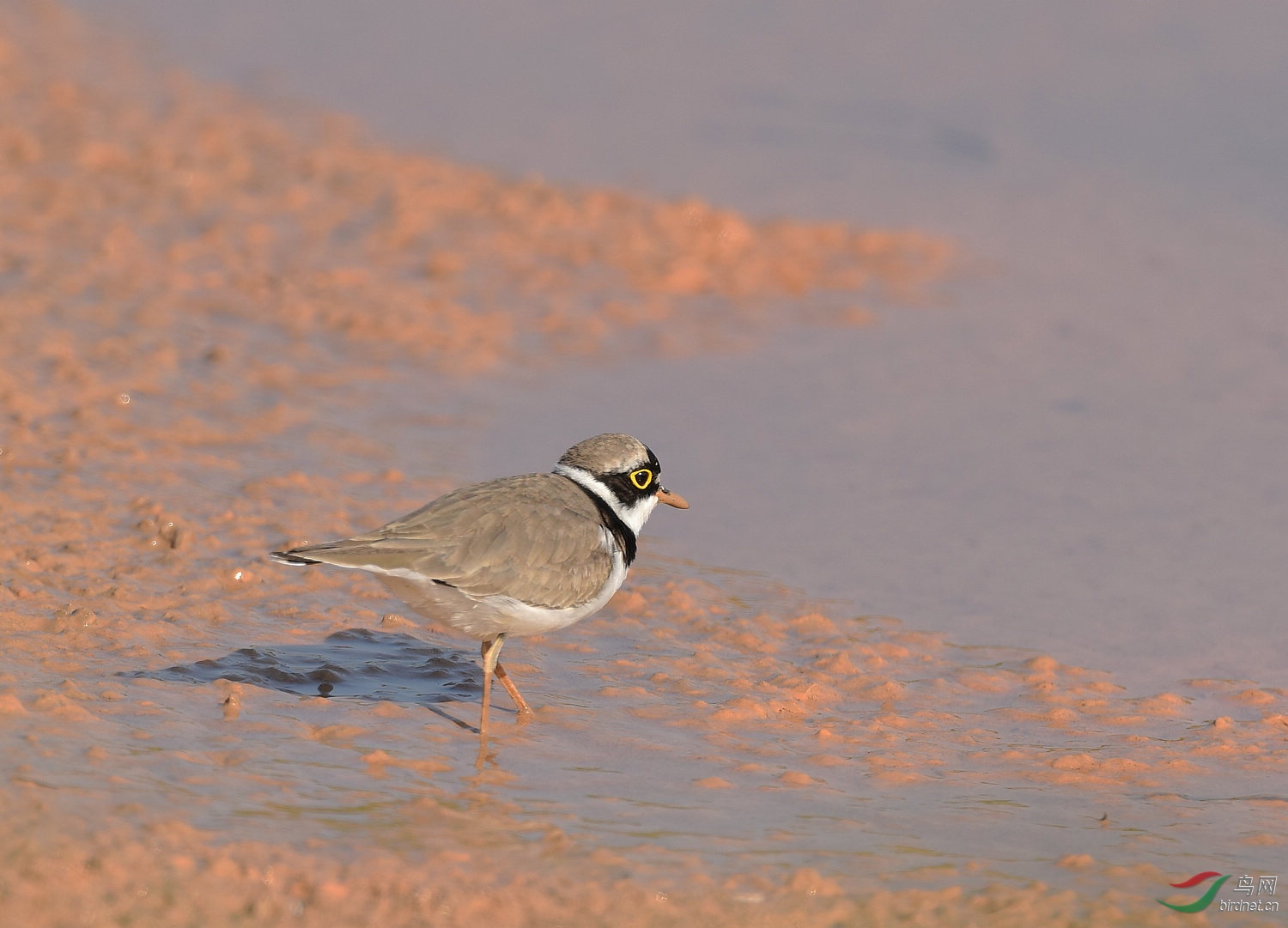 D8I_9758.jpg