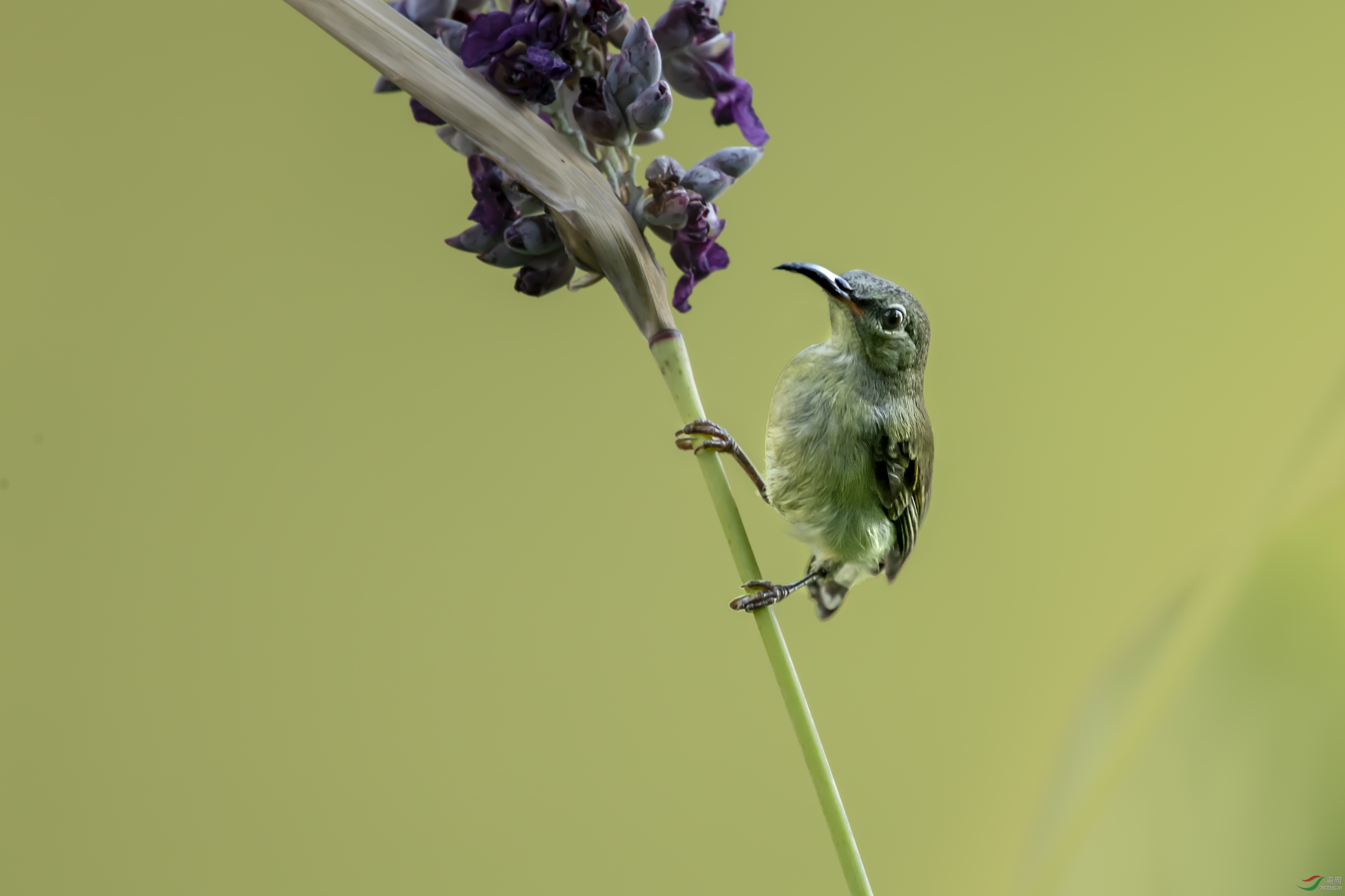 DSC_0367_1.jpg