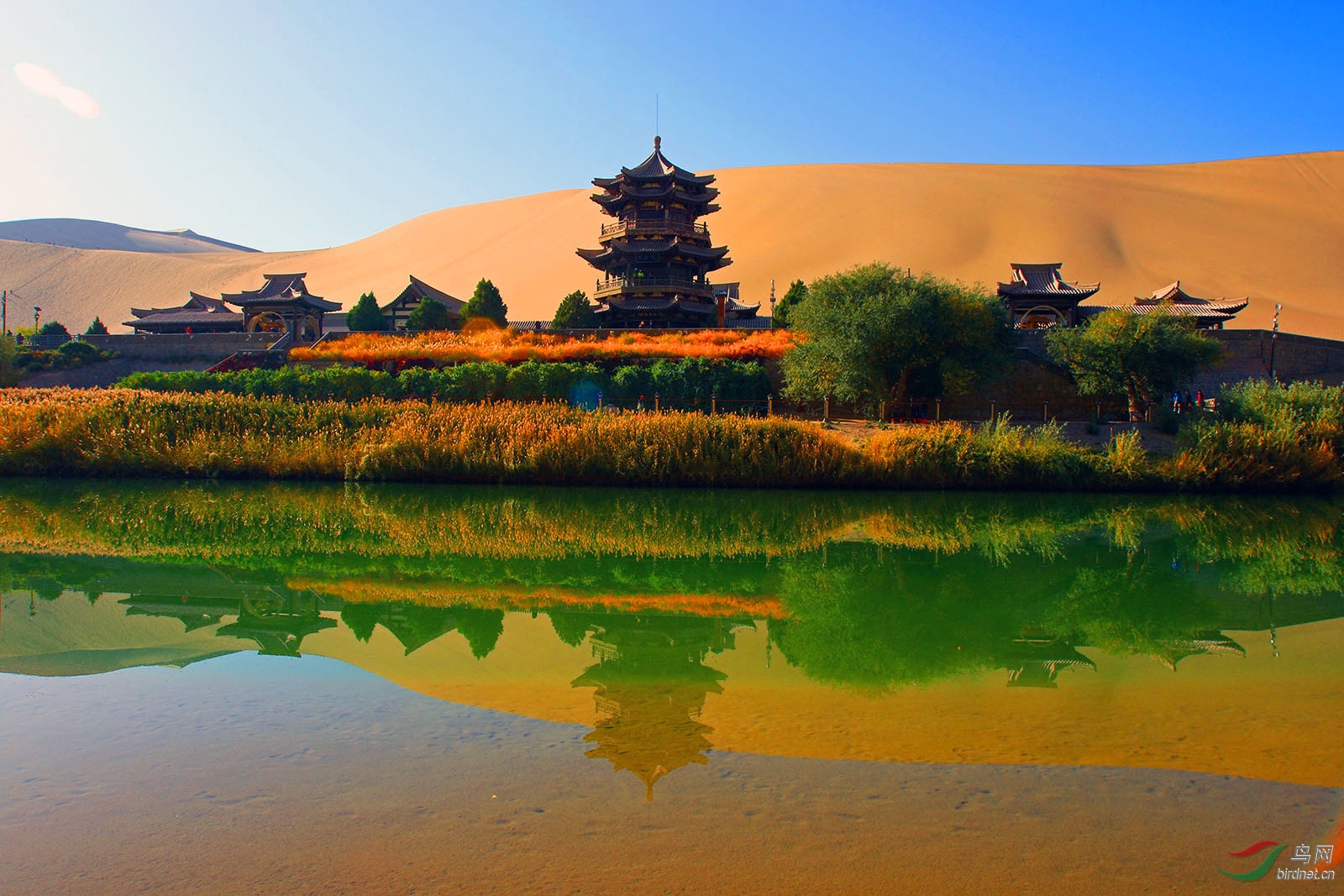 沙原隐泉(祝贺刘国林老师荣获综合首页精华)