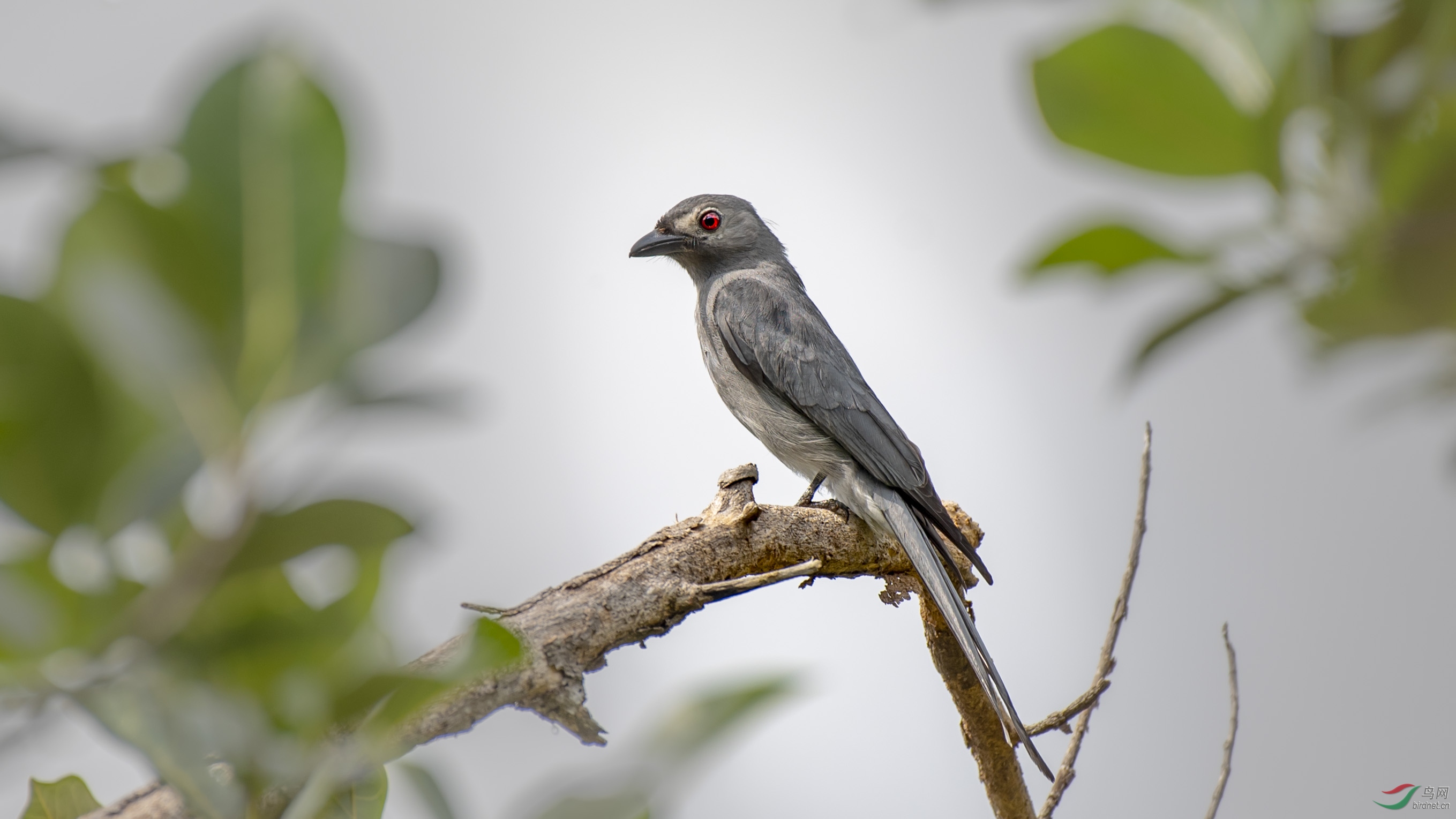 DSC_4002-1.jpg