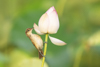 1 (121).JPG