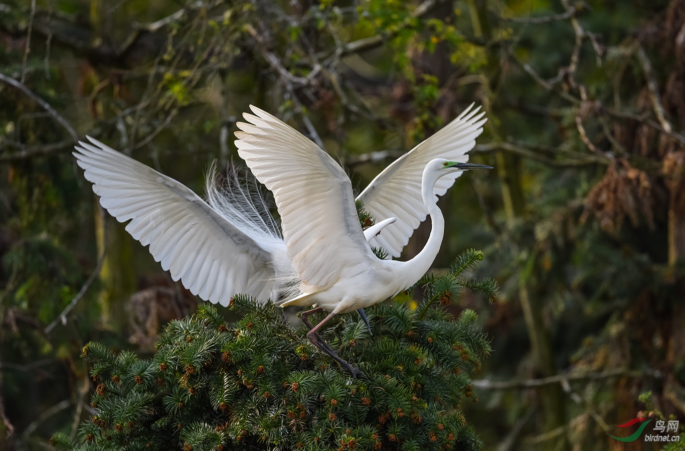 DSC_5227.JPG