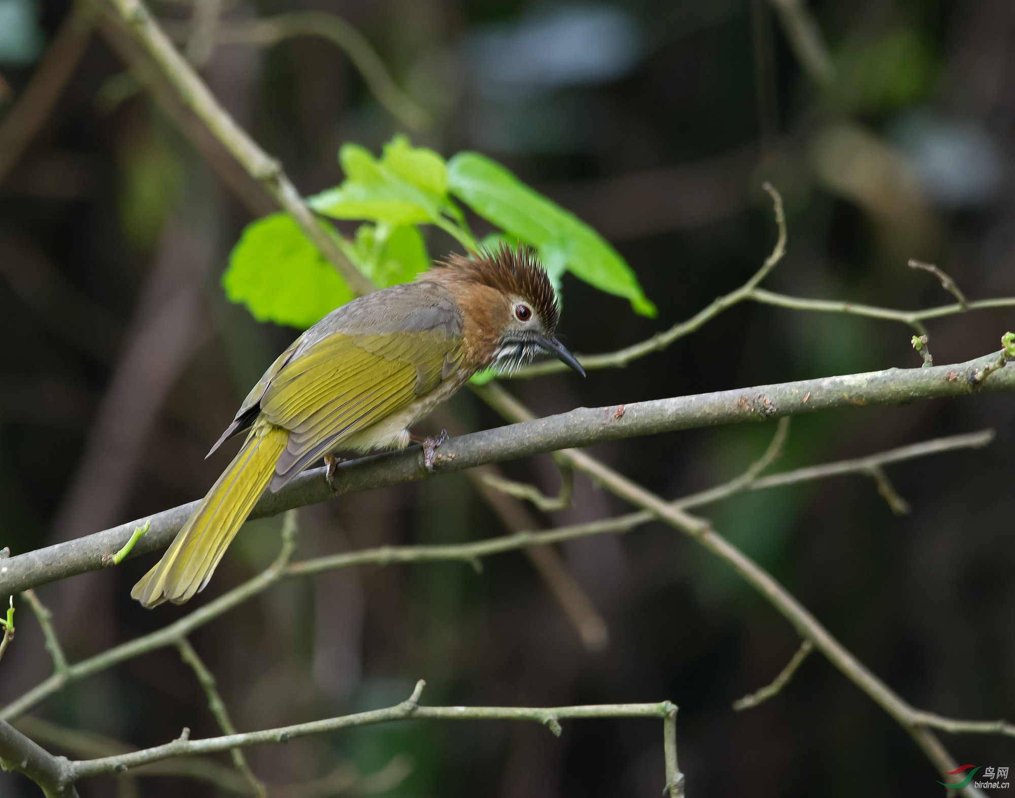 DSC_1567.jpg