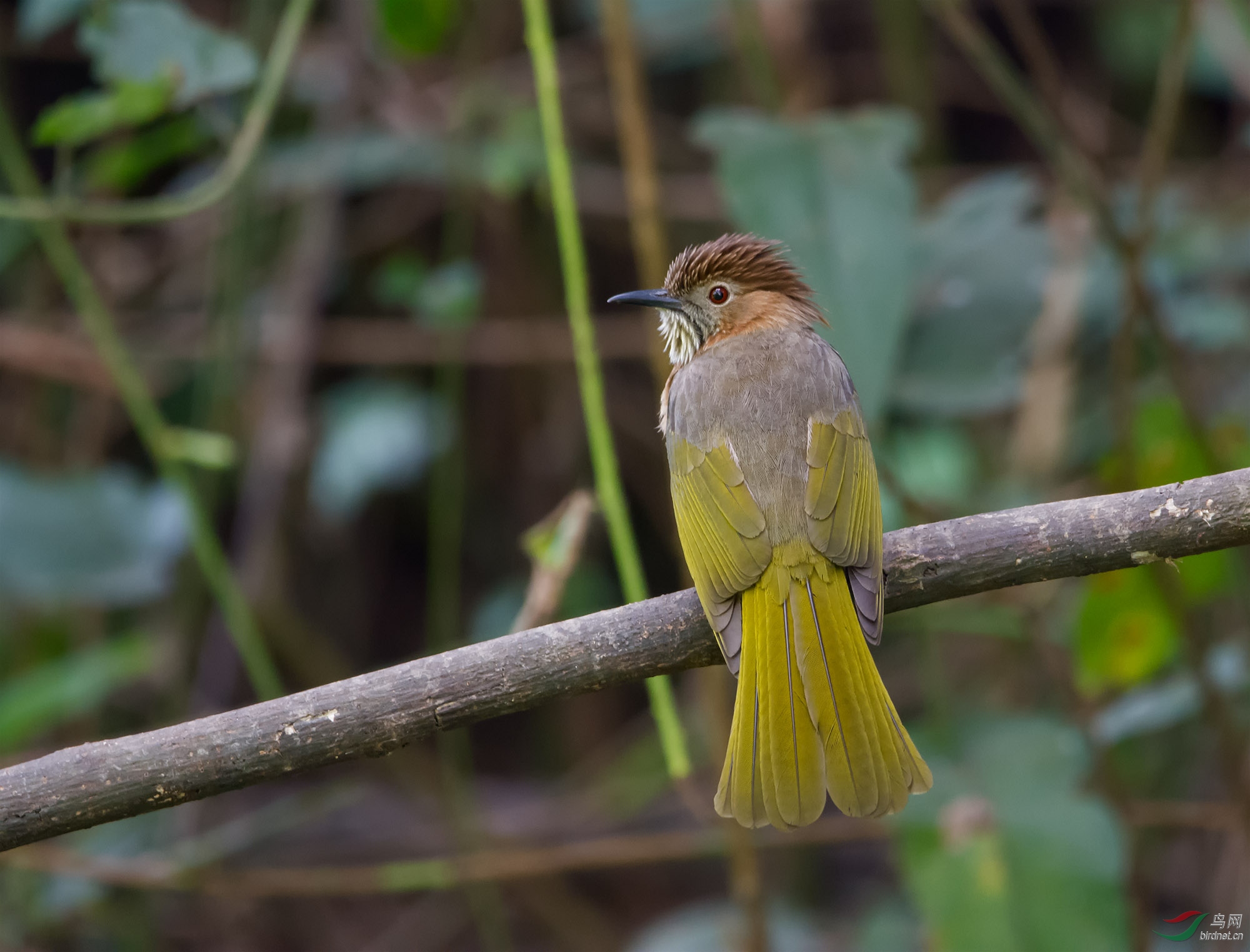 DSC_1576.jpg