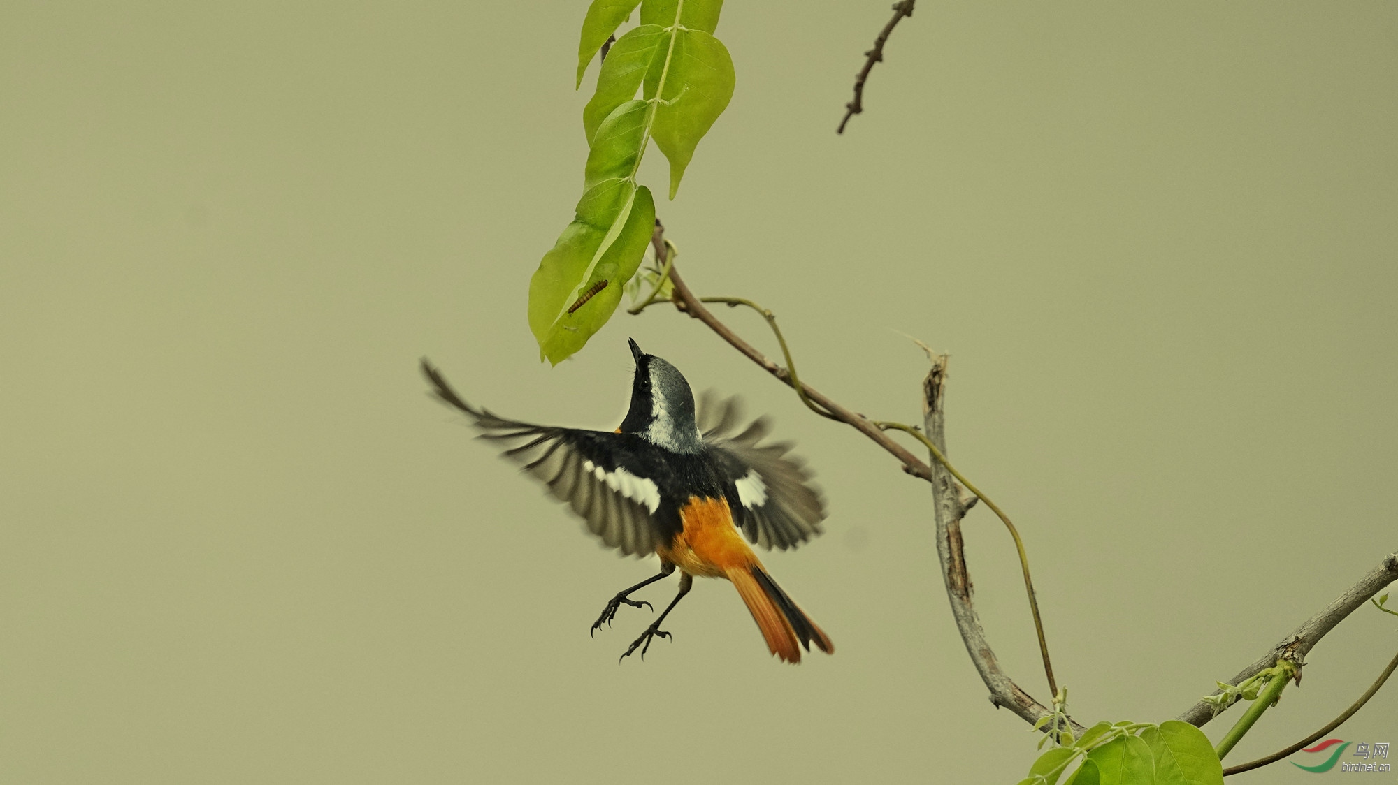 _DSC4587_����_����.jpg