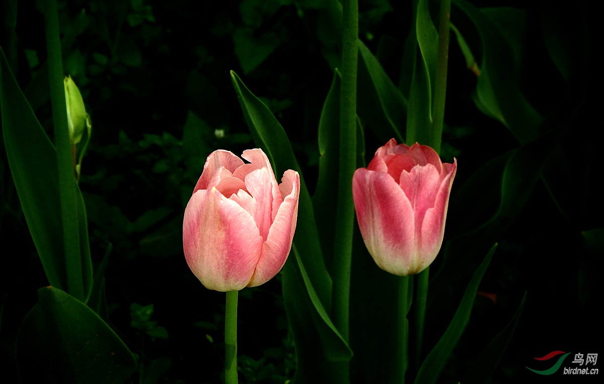 P4072565.jpg