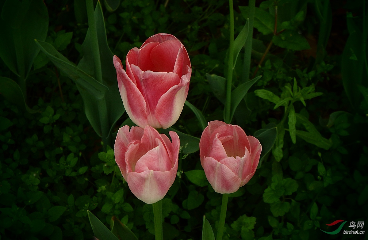 P4072568.jpg
