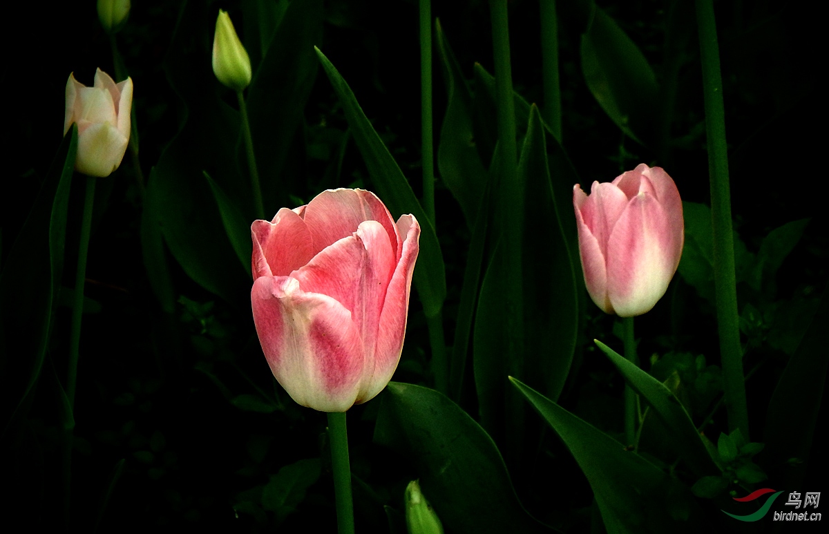 P4072566.jpg