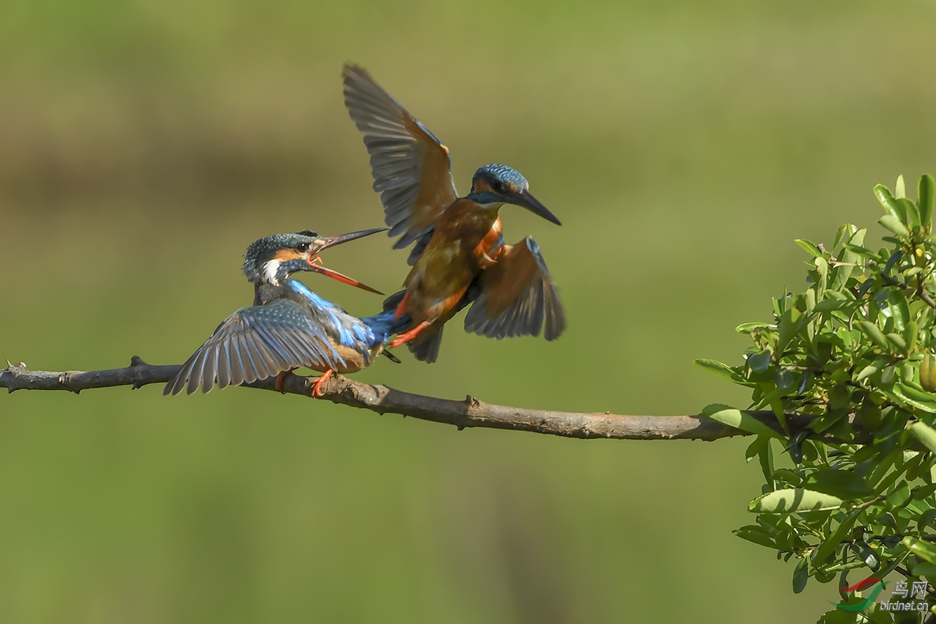 DSC_7649-2.jpg