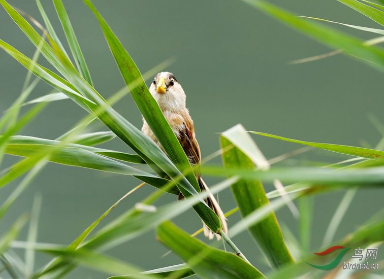 ���� ��ѻȸ5.jpg