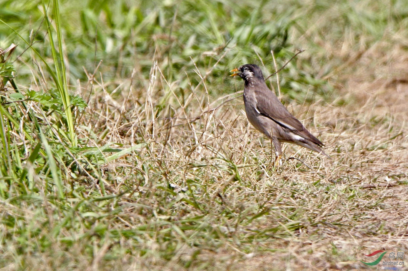 IMG_4702.jpg
