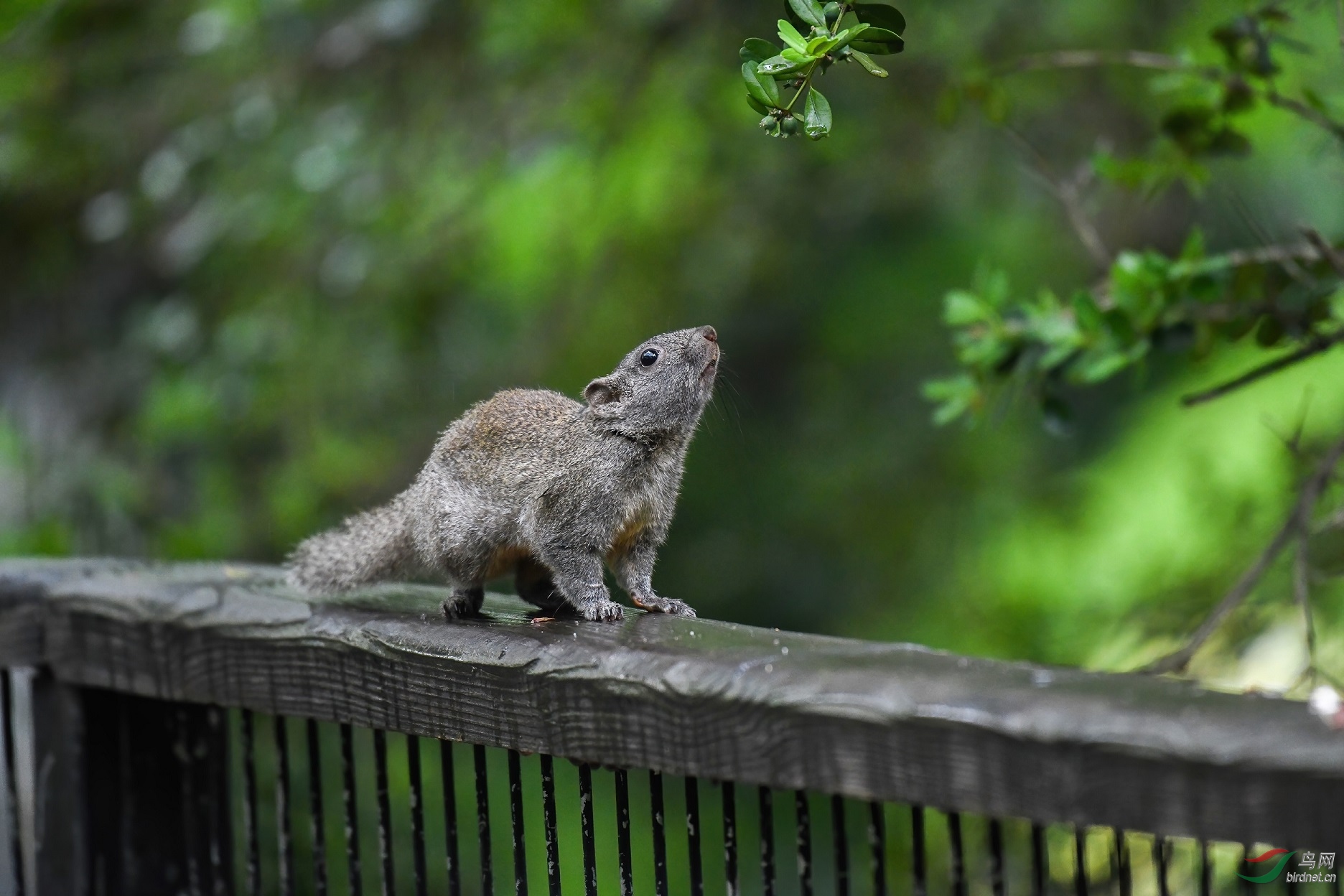 5-6�׼�������