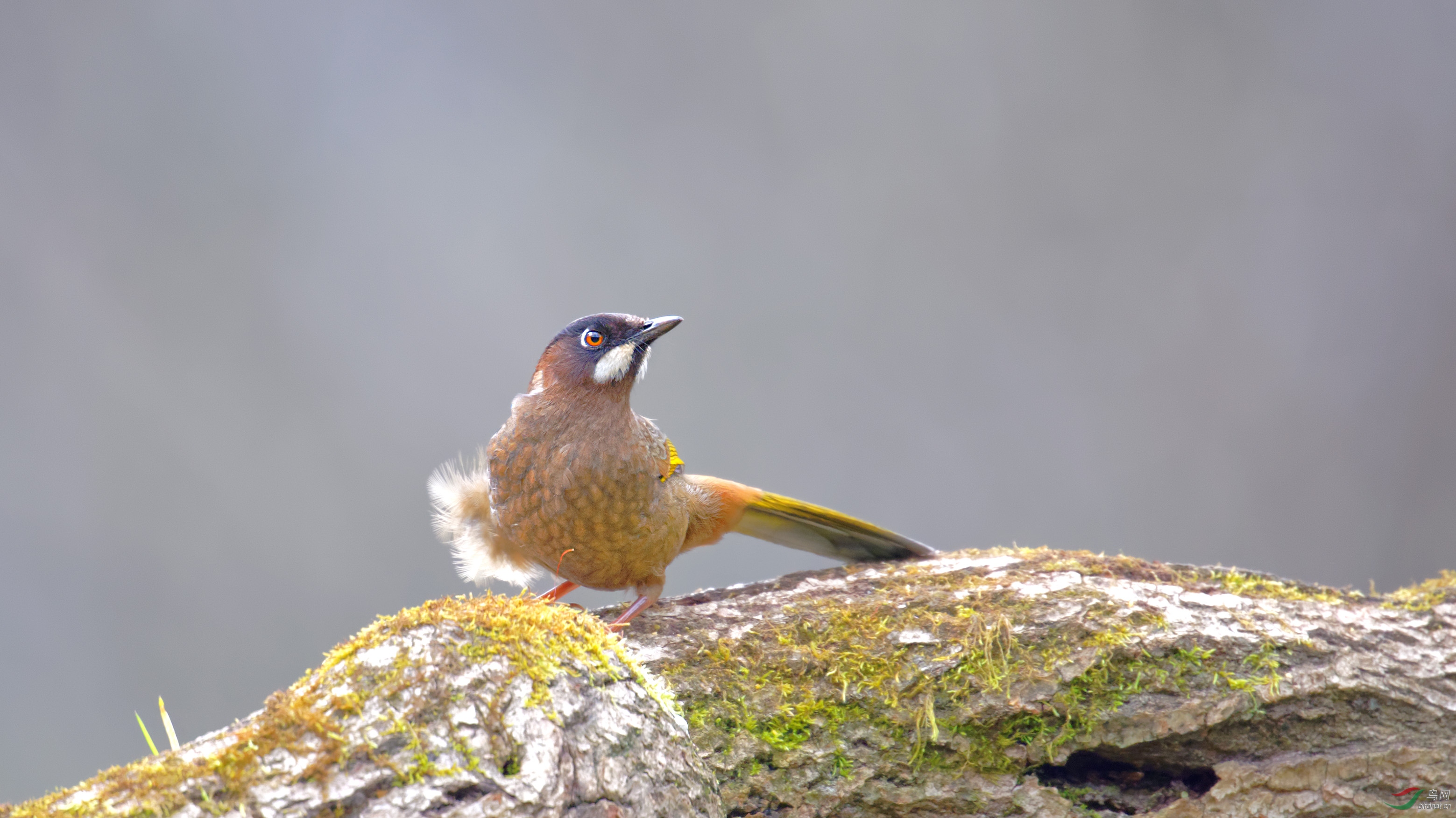 DSC_4115_DxO.jpg