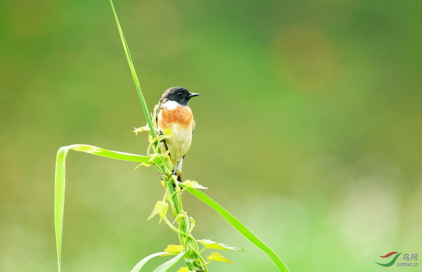 DSC_3418.jpg
