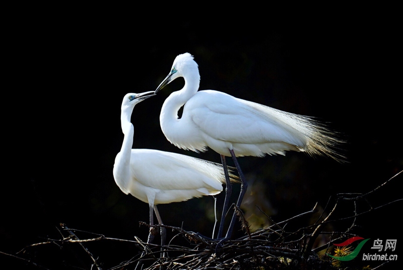 һ������