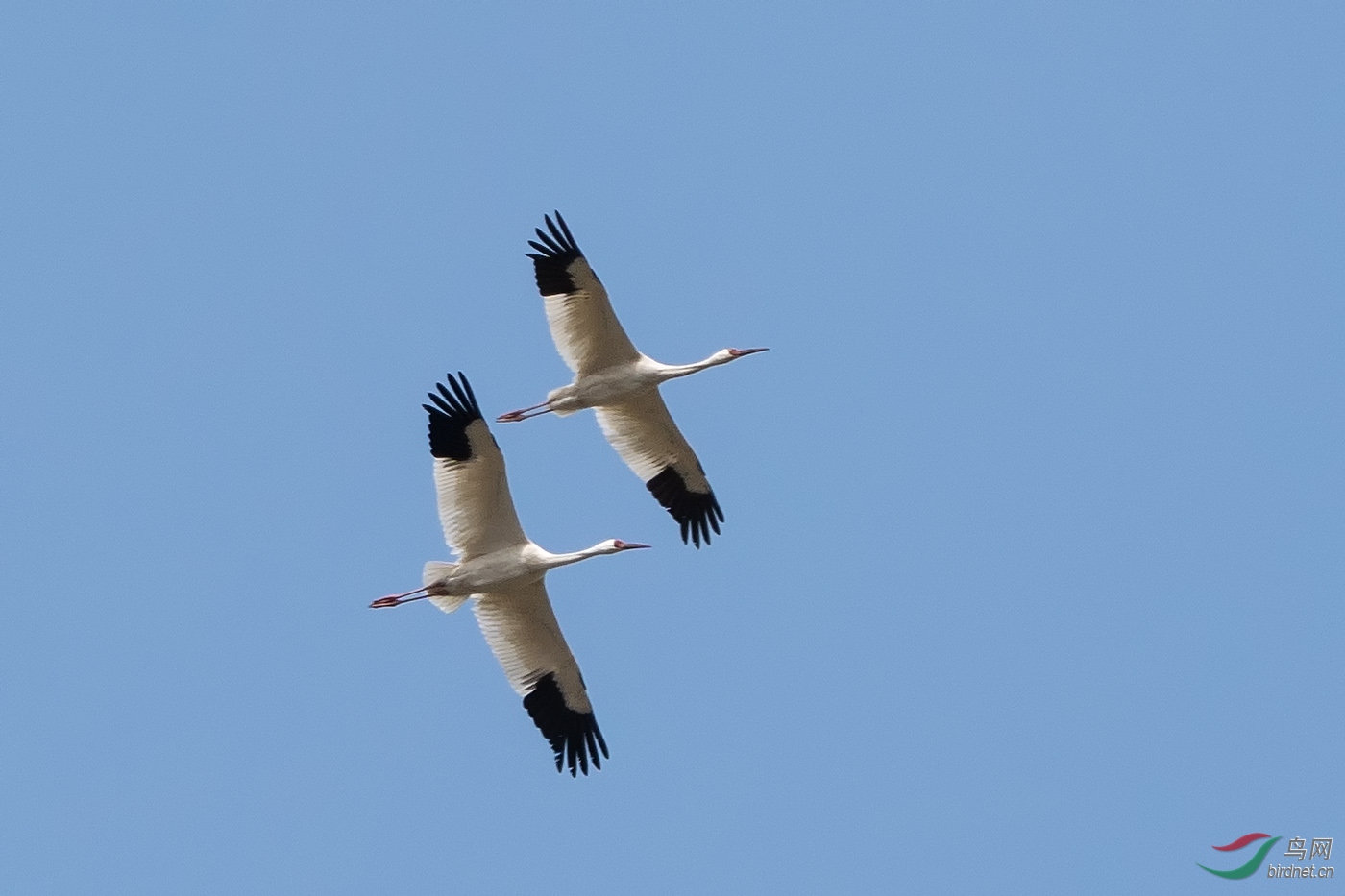 DSC08165-1.jpg