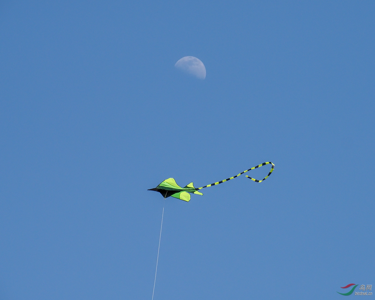 P4020241.jpg
