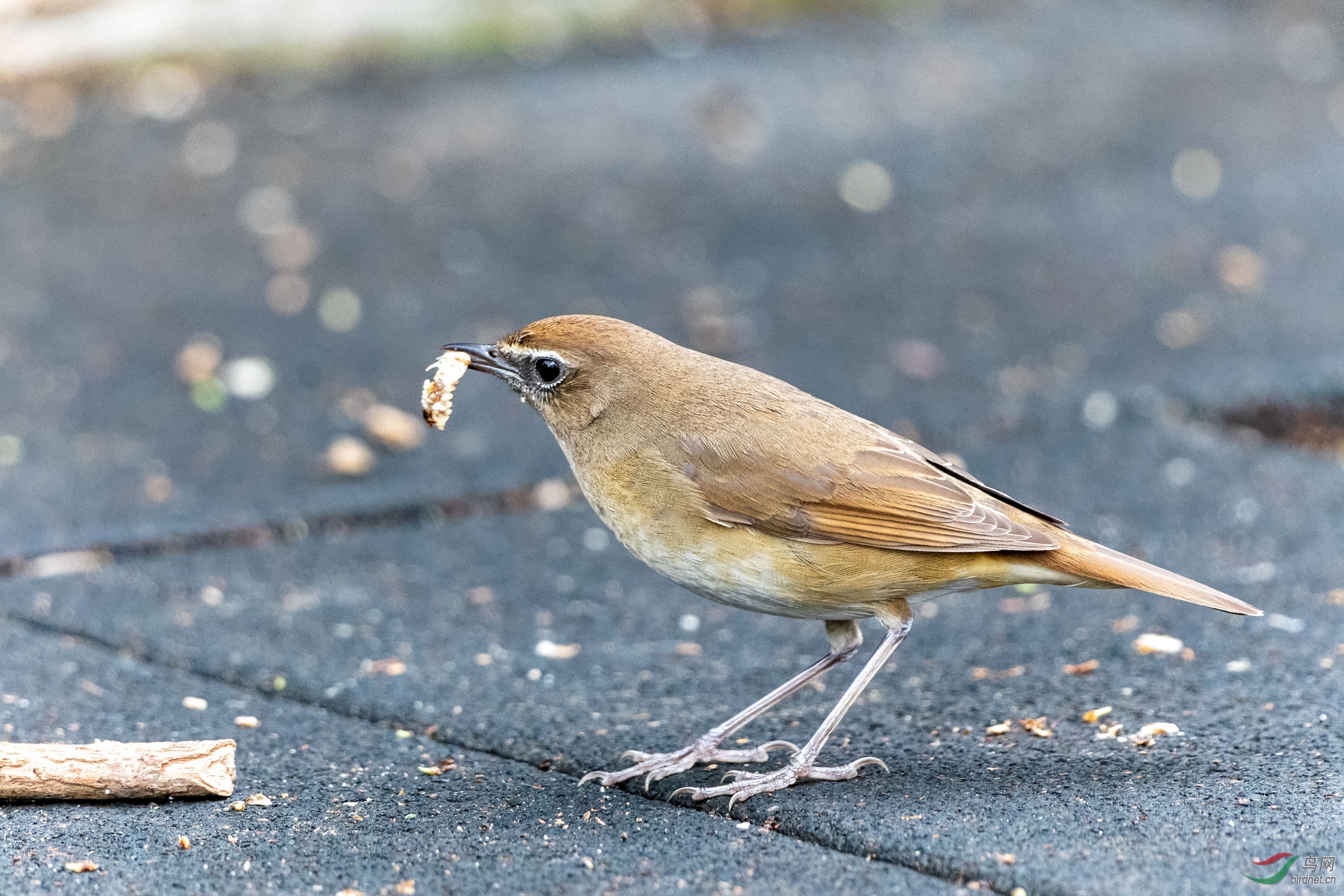 IMG_6144_DxO.jpg
