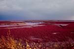 1 (188).JPG