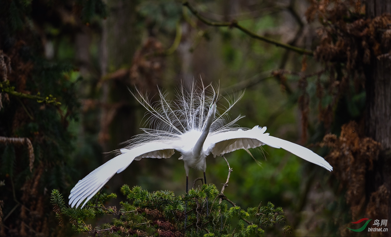 DSC_2635.JPG
