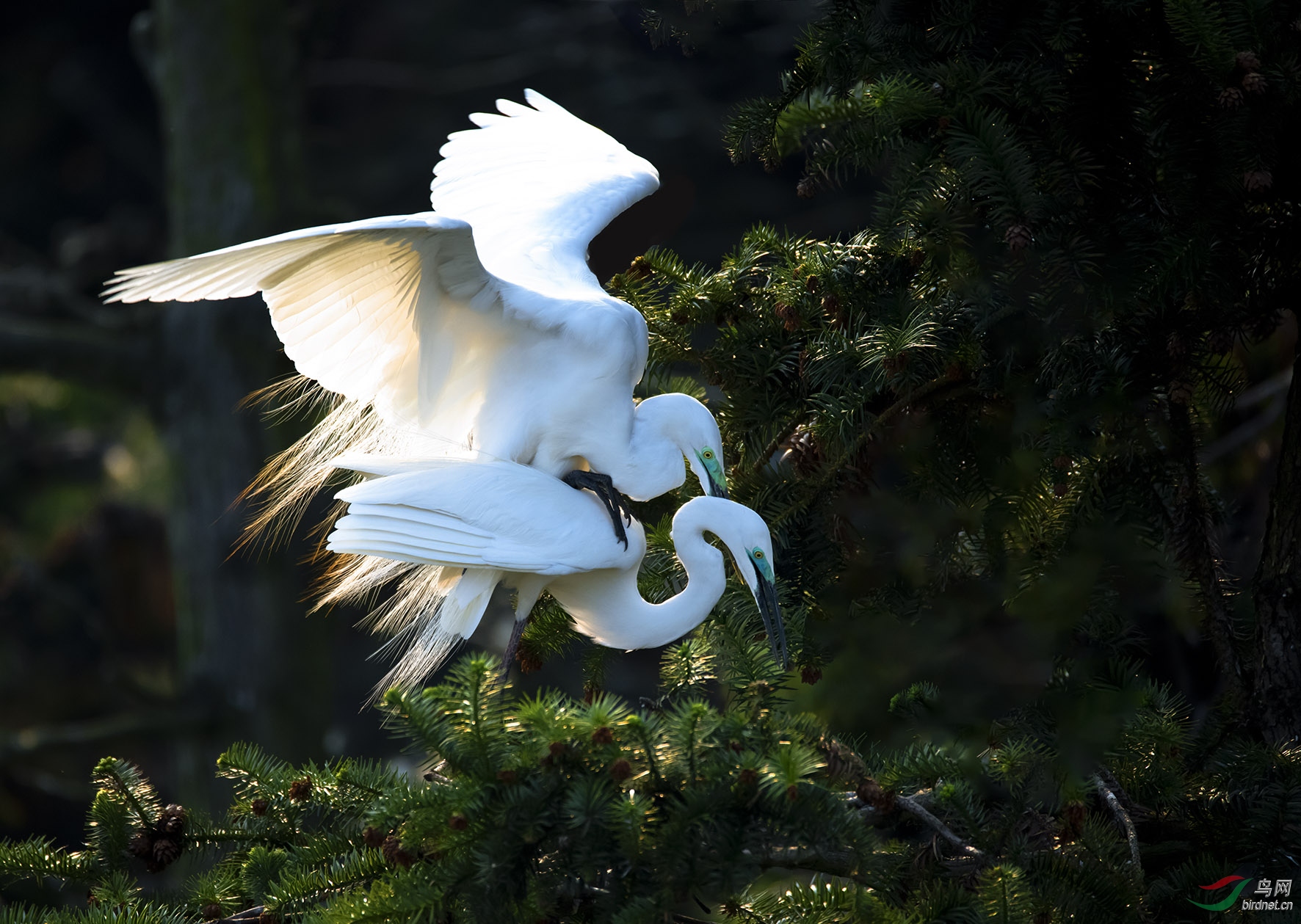 DSC_5385.jpg