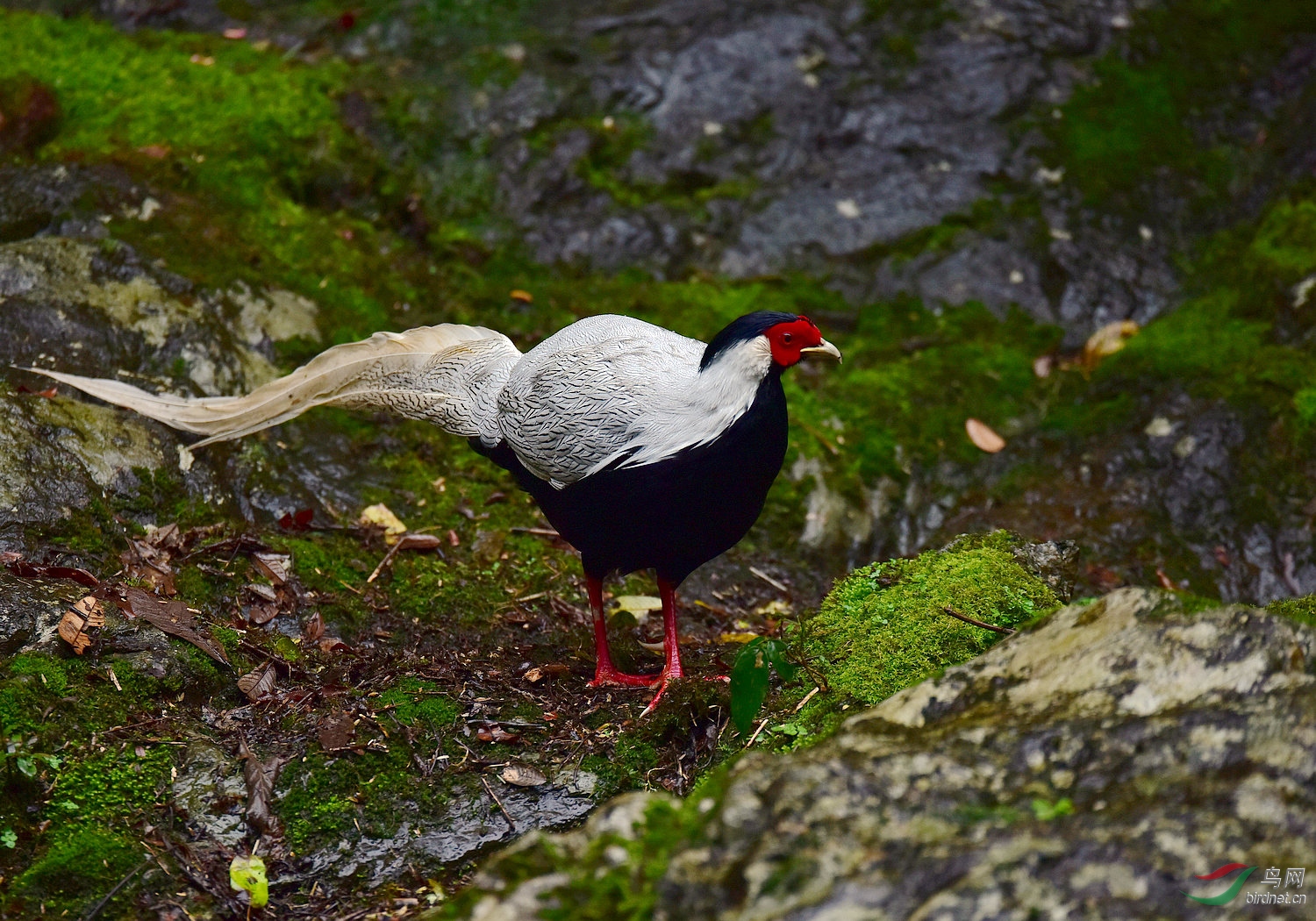 D8I_3456.jpg