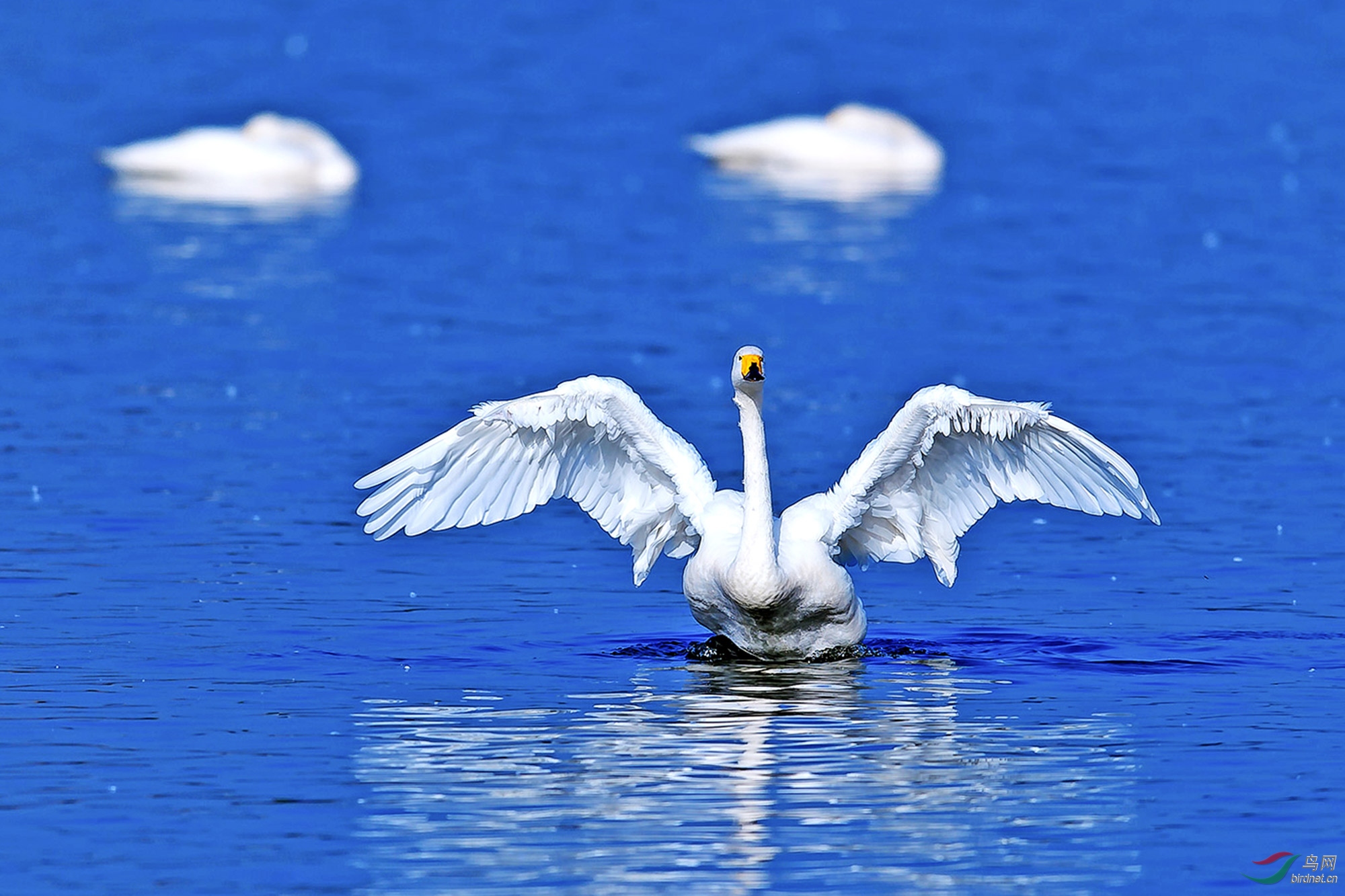 _DSC12631=.jpg