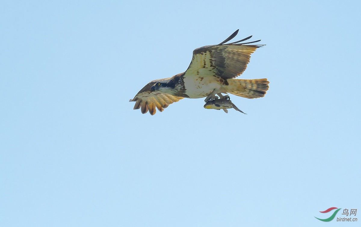DSC_4552.jpg